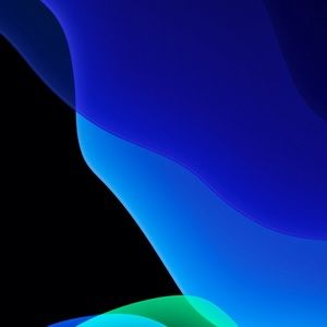 Meet your Posher, Noah